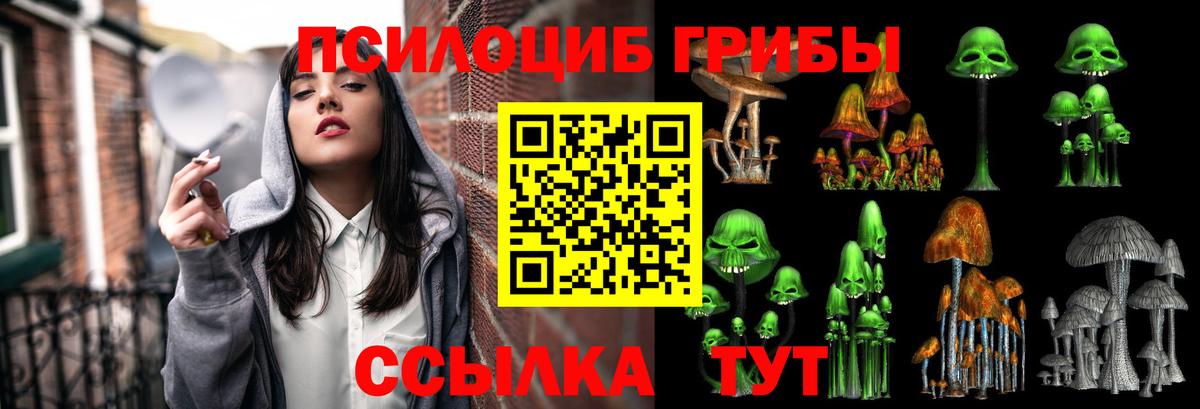 Ачхой-Мартан  Галлюциногенные грибы ЛСД  Вход с VPN 