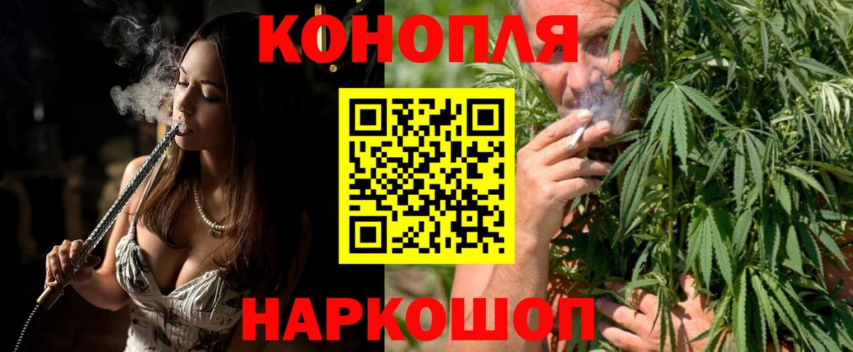 Ачхой-Мартан  Бошки марихуана конопля  Бошки марихуана план  Вход с VPN 